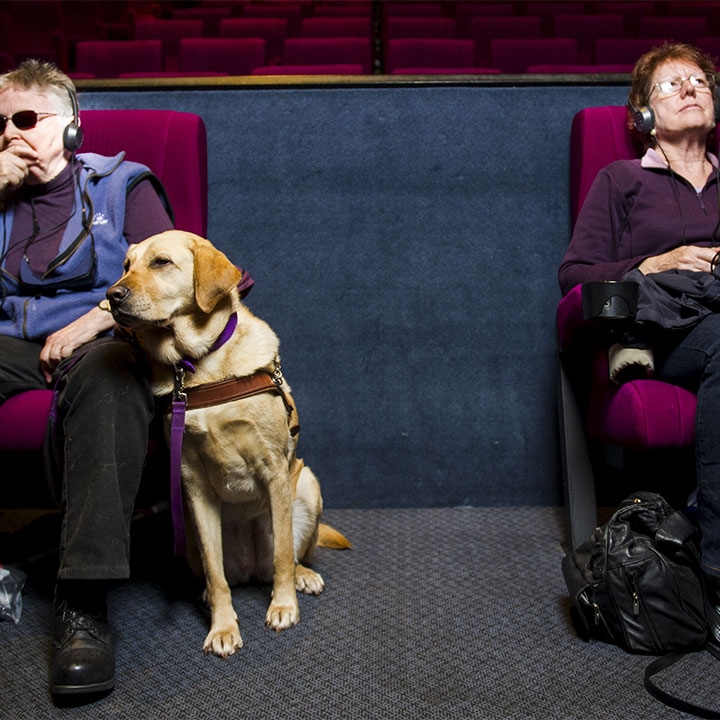 Two middle-aged women seated in a movie theater, one with a guide dog and the other with a white cane, sit with head phones on, absorbed in audio description.