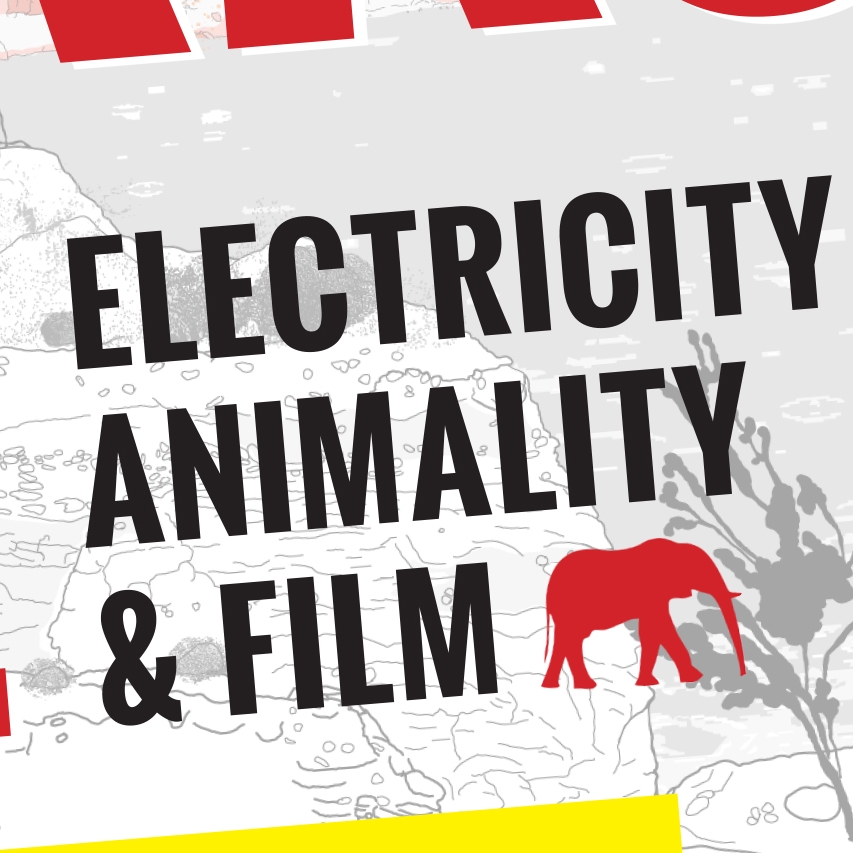 SPARKS OF LIFE: ELECTRICITY, ANIMALITY, AND FILM