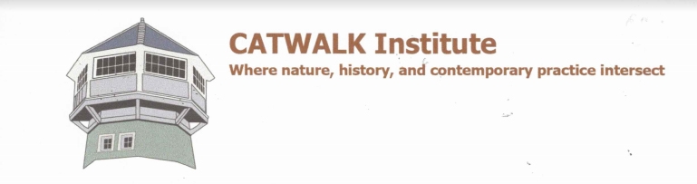logotype for Catwalk institute