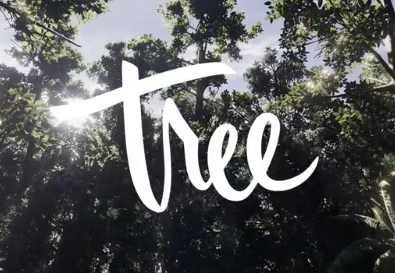 Title credits to "Tree" the VR film, showing the word "tree" written in script over a picture of a sunny forest
