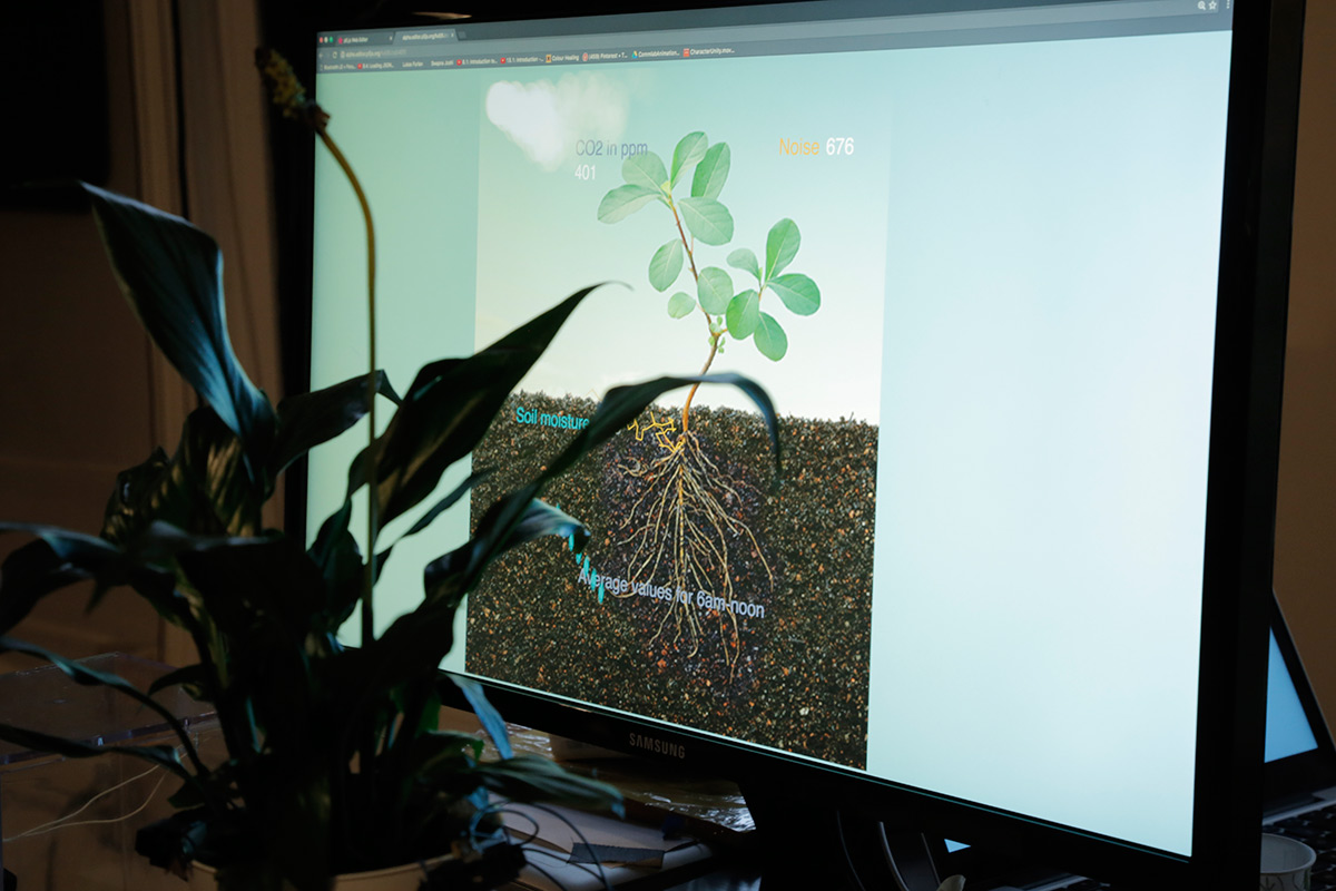 A real plant in front of a monitor showing a plant with roots and status of the plant
