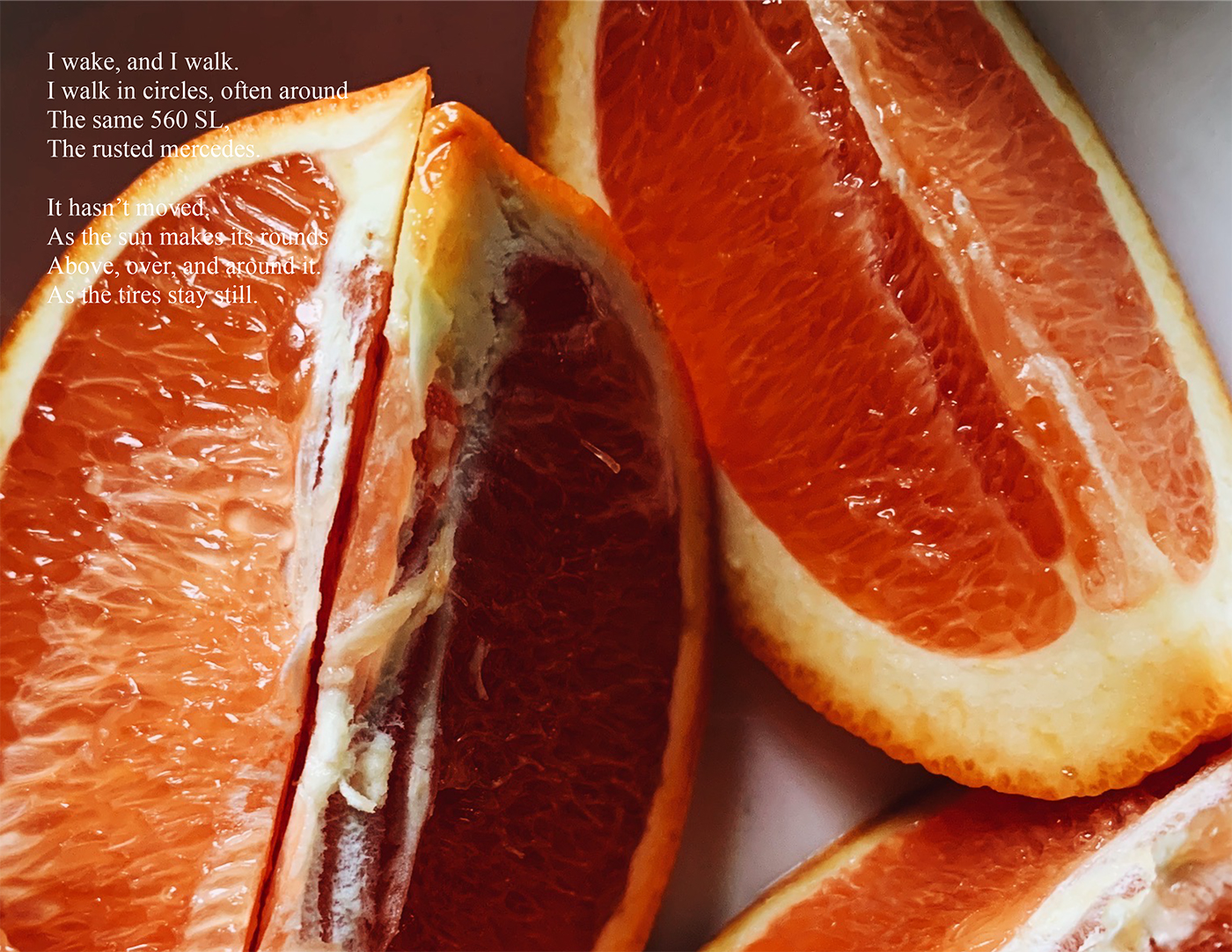 photo of orange slices