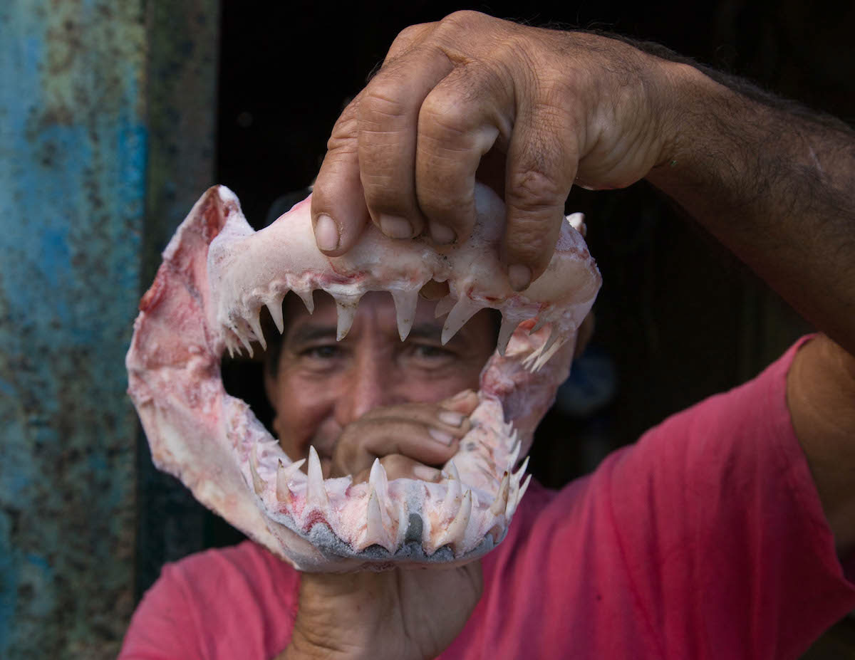 fisherman holding fish jaw