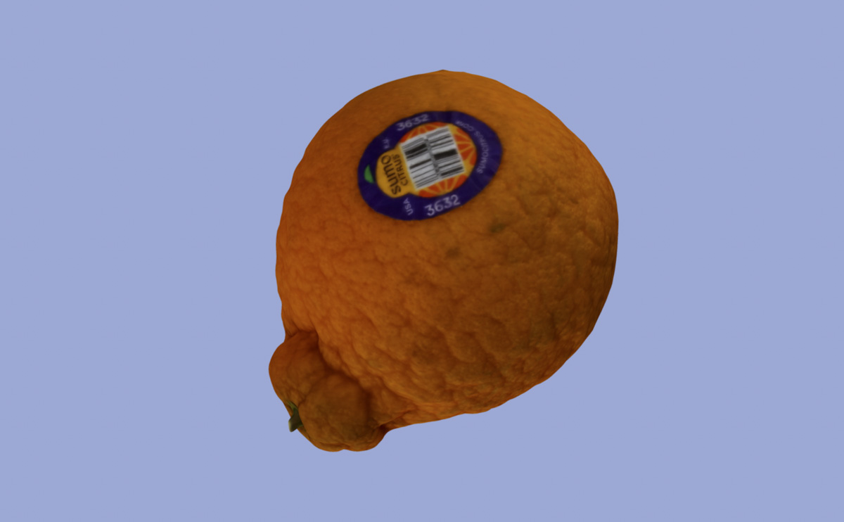 screenshot of a 3D rendered orange (fruit)