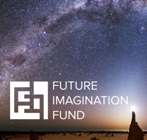 Future Imagination Fund