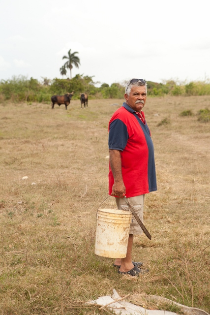 Older farmer holding a bucket in his field, looking at the camera.