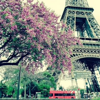A photo of the Eiffel Tower in Paris, France.