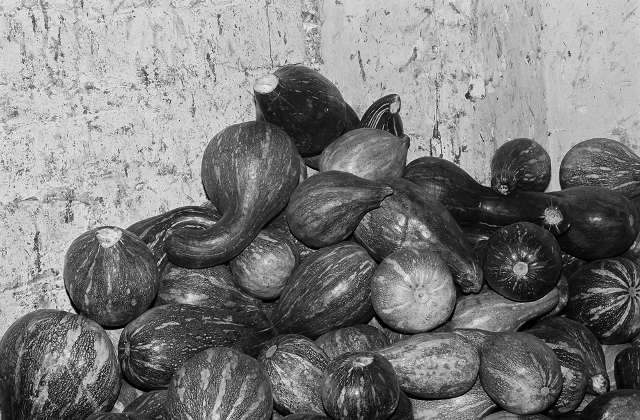 Black and white photo of a pile of squash.