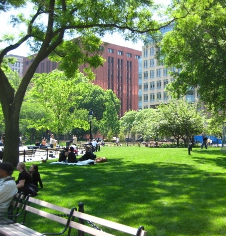 A sunny day in Washington Square Park