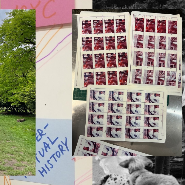 TCRCollage