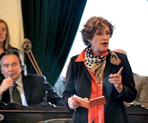 Hinda Miller as Vermont State Senator