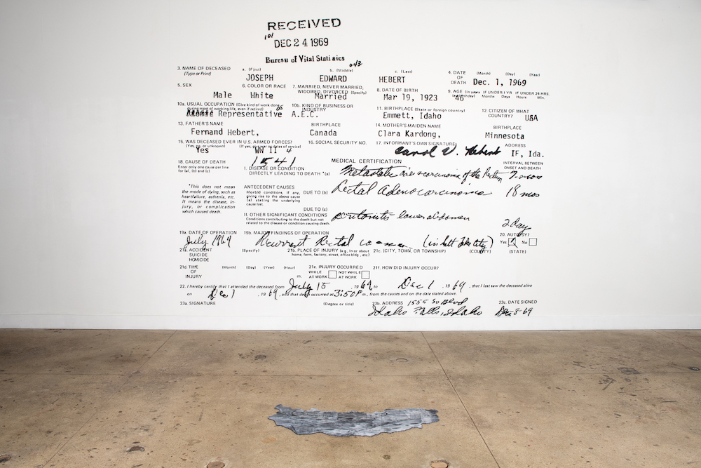 A photo of the exhibit showing a wall image installation of a government document.