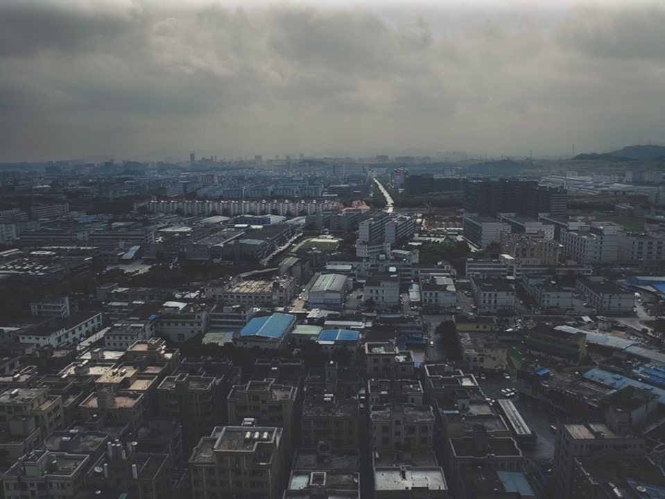 The Exilic Gaze and the Activist Lens