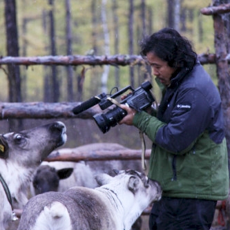 Filmmaker Gu Tao filming cows.