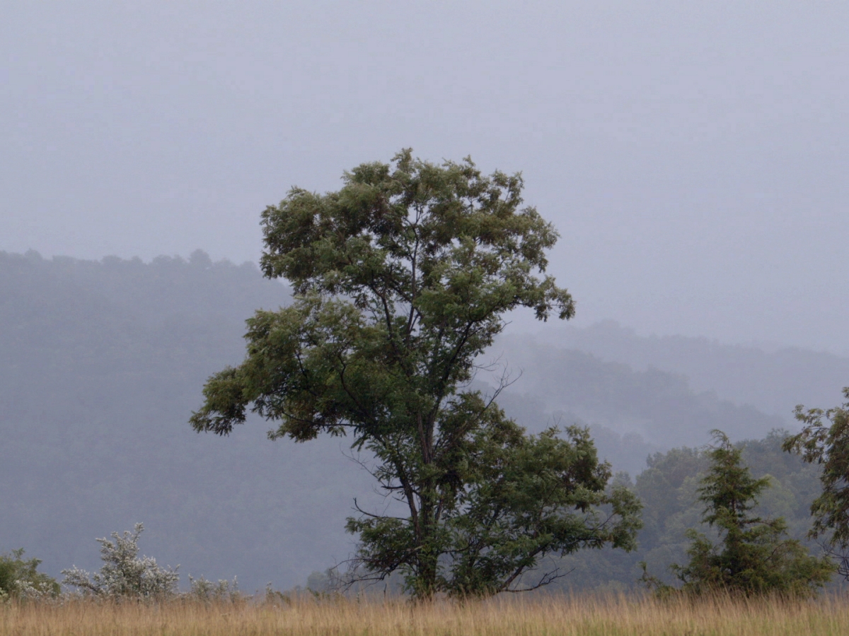 The Prison in Twelve Landscapes (2016)