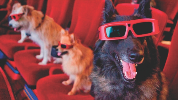 Dogs wearing 3D glasses at the cinema.