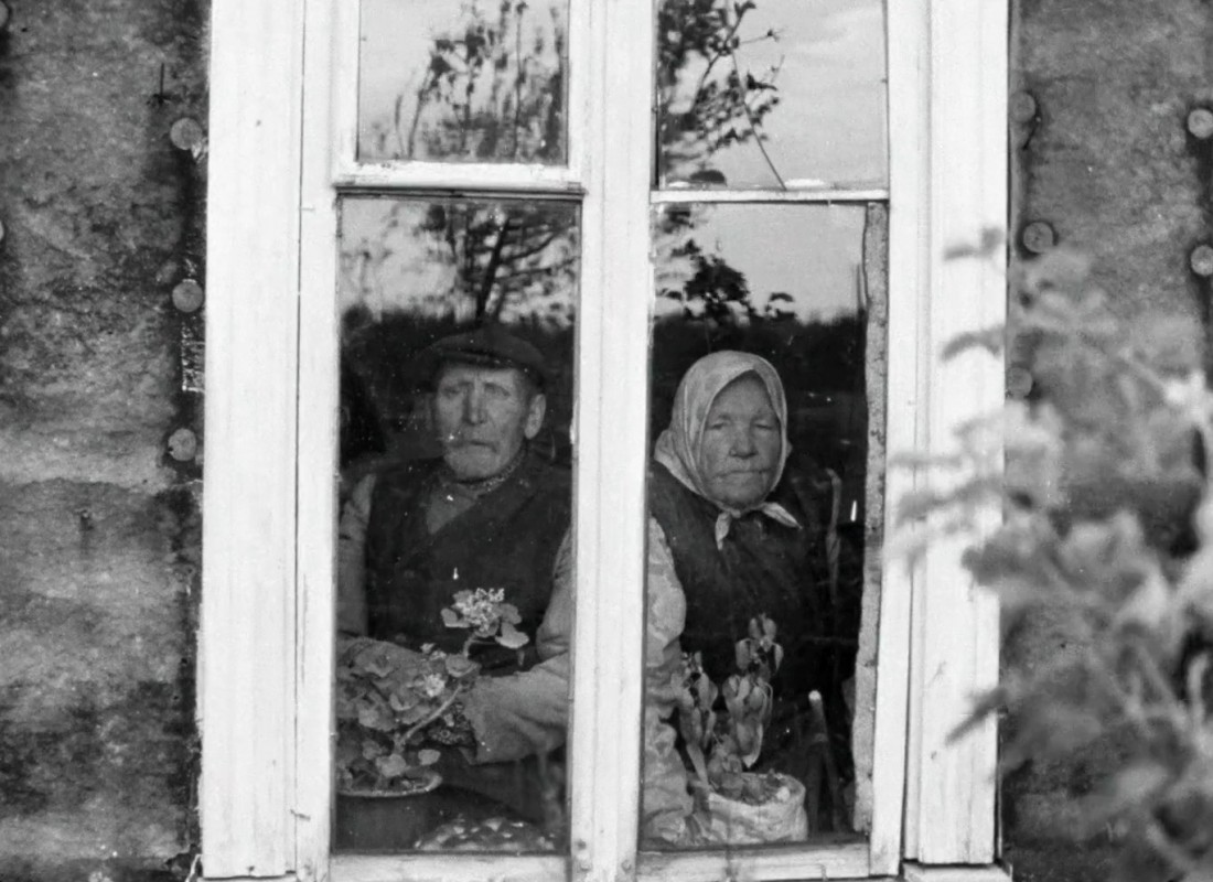 An older couple looking outward through a window.