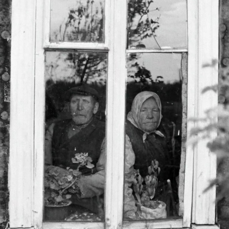 An older couple looking outward through a window.