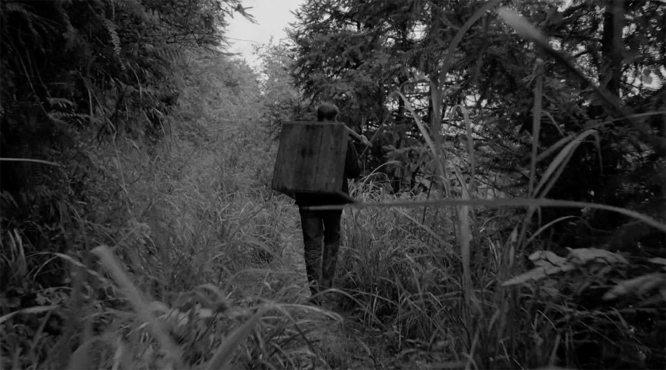 Man walking in a forest