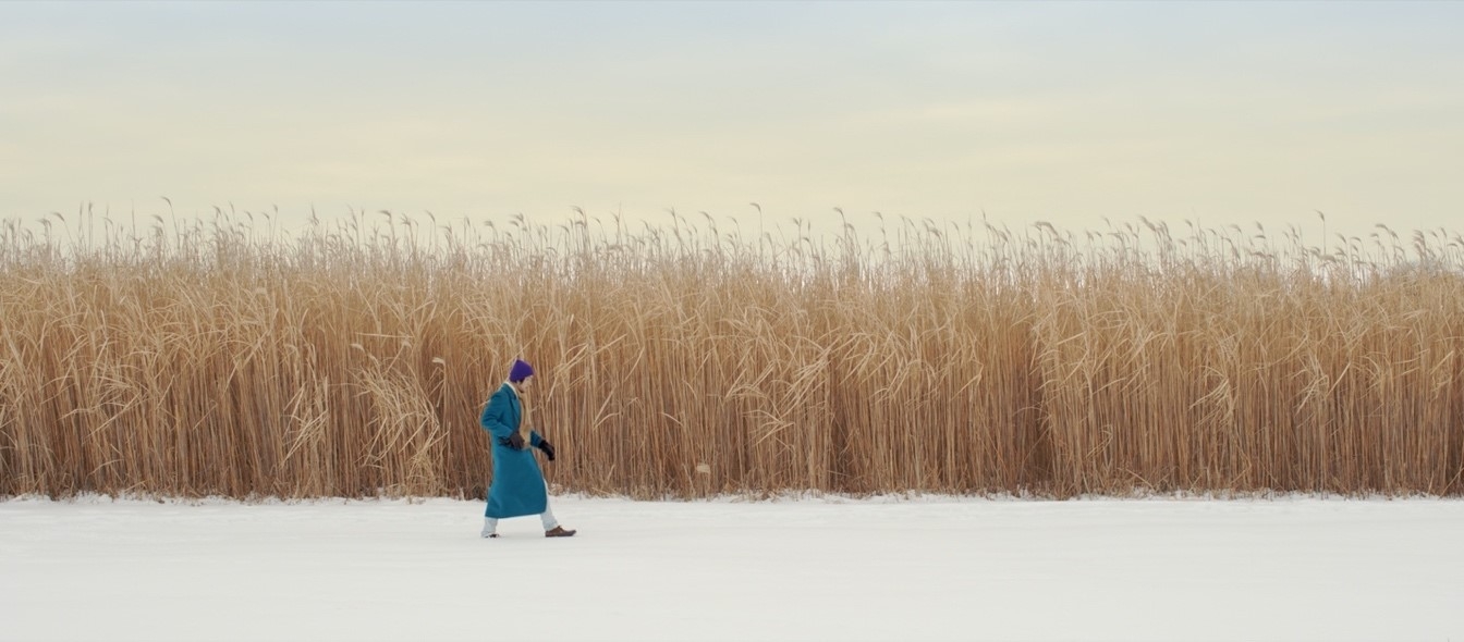 Figure in teal coat walking in front of tall grasses on snow