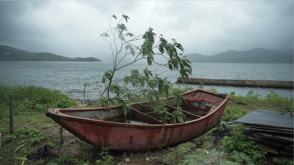 Boat moored on land with a tree bending over into it
