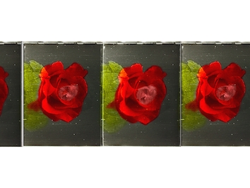 11th Orphan Film Symposium: Love