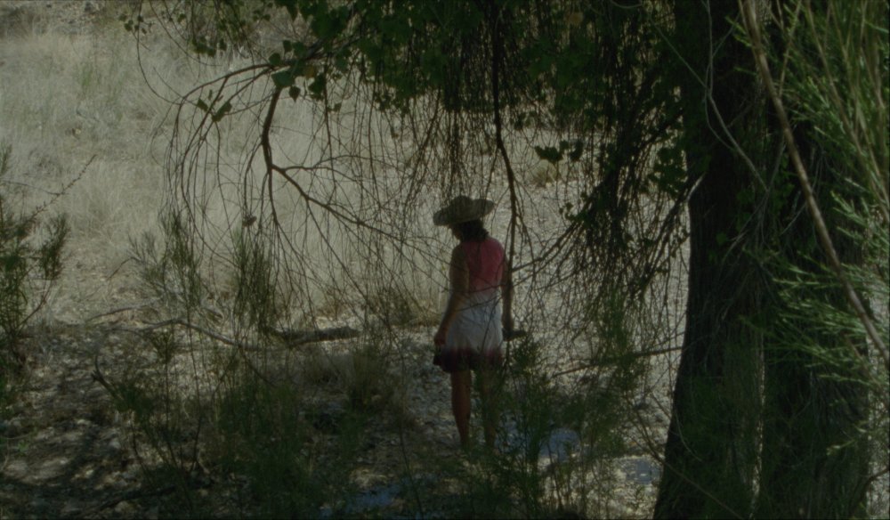 A person standing outside back toward the camera and in shadow, further obscured by bare branches of a tree.