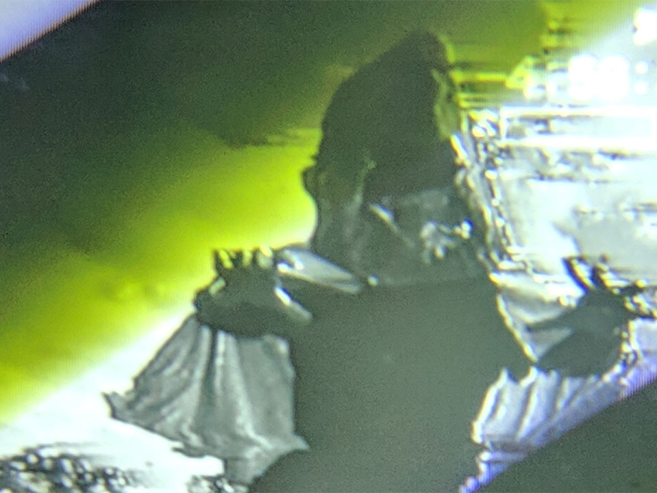 STICKY SHEDDING: EXORCISING TEENAGE MEDIA