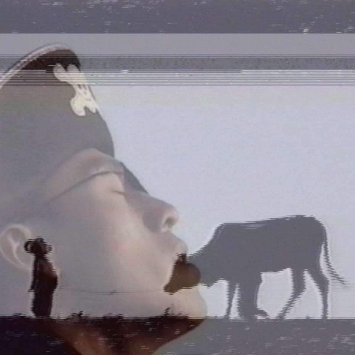 Mans face behind a silhouette of a cow and a boy