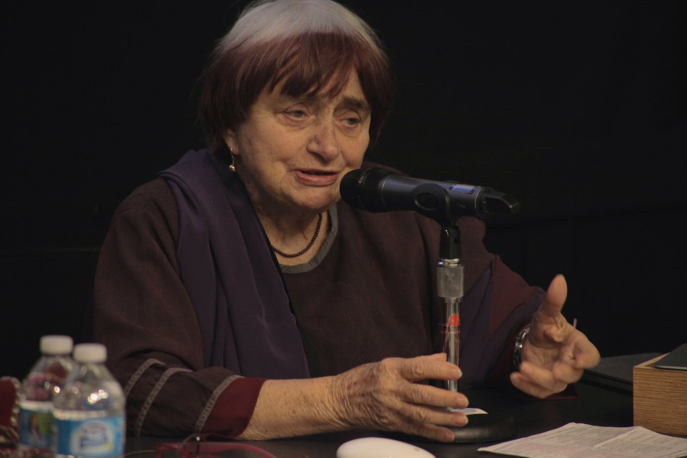 An Extended Conversation with Agnes Varda