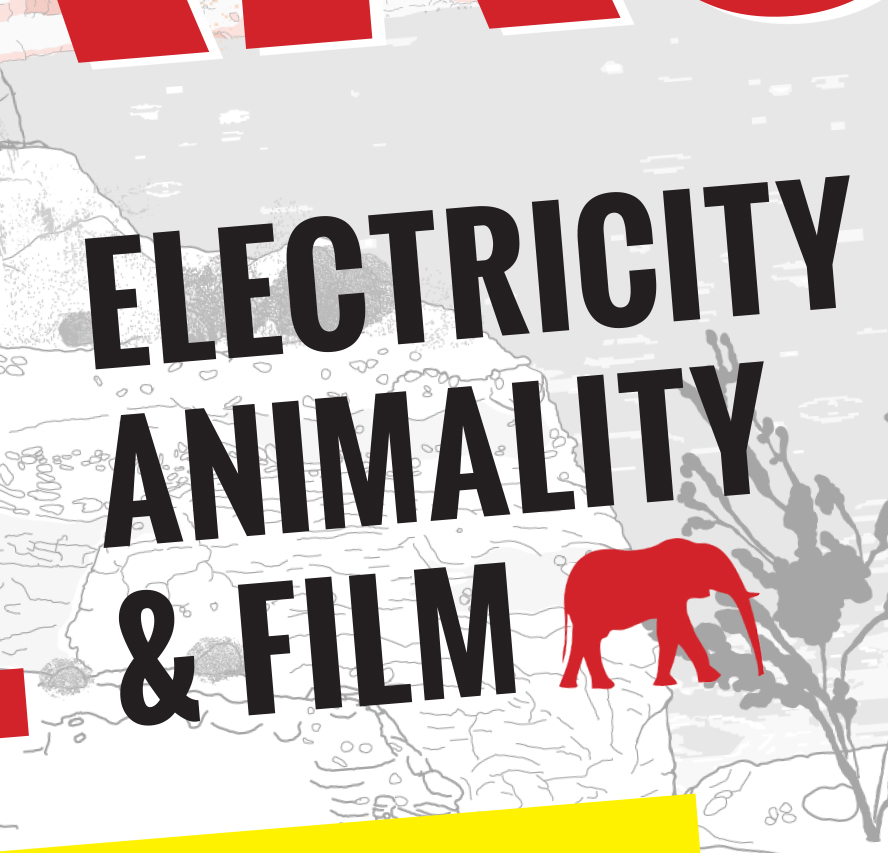 Electricity, Animality & Film