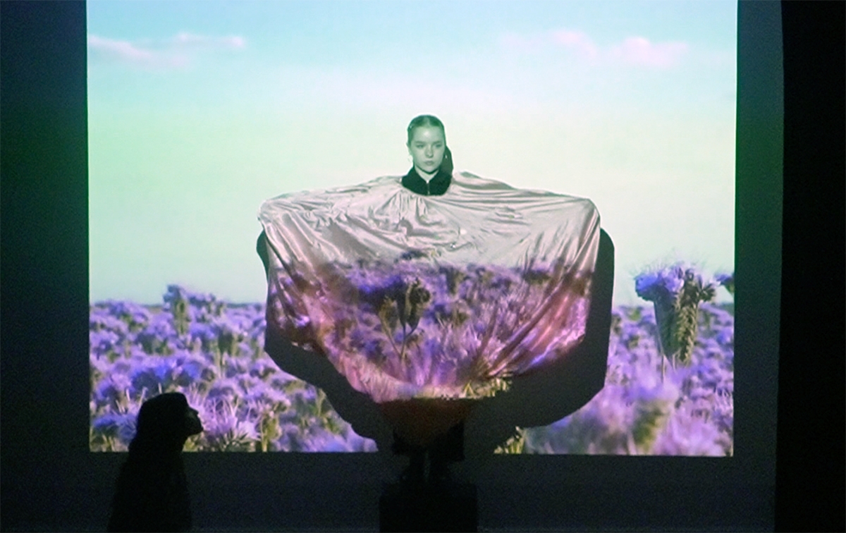 A student stands in front of a projector showing a field of flowers