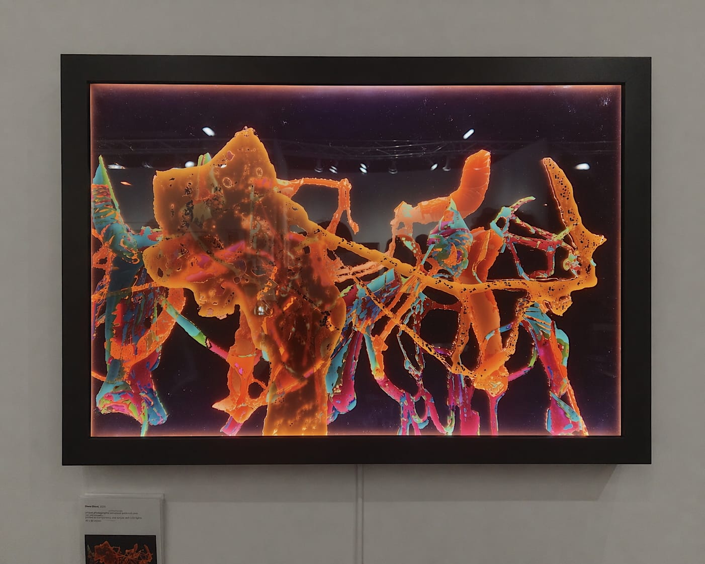 Work by TUG Collective on display at Brooklyn Fine Art Print Fair