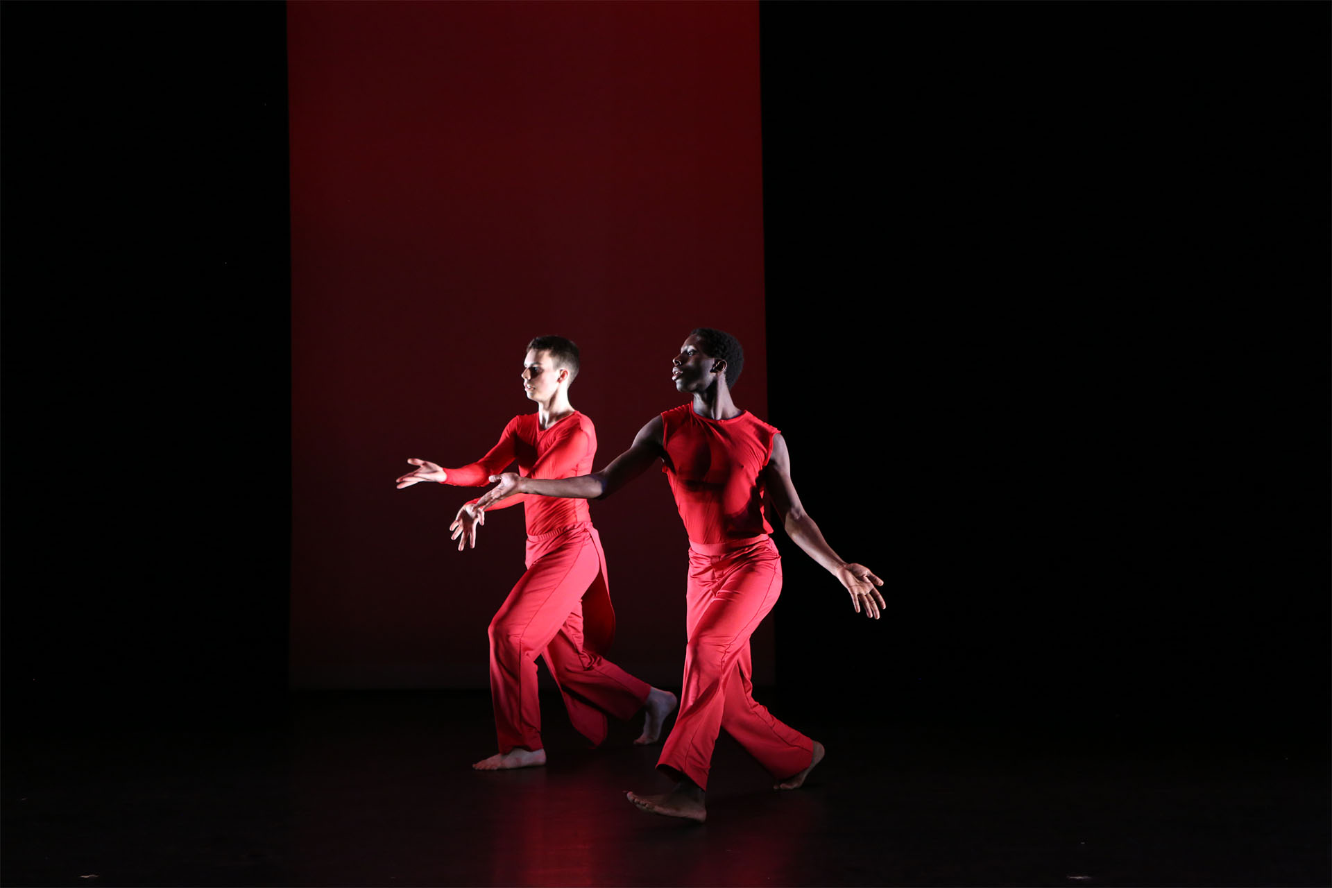 SADC April 2018 "pro-ceed/pro-gress" Choreographed by Pamela Pietro in collaboration with the performers