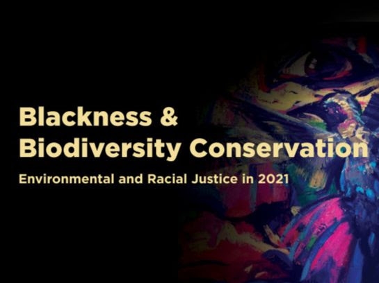 Blackness & Biodiversity Conservation: Environmental and Racial Justice in 2021