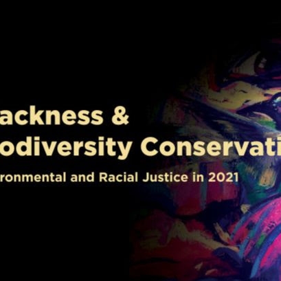 Blackness & Biodiversity Conservation: Environmental and Racial Justice in 2021
