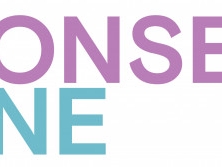 Consent Zone Workshop