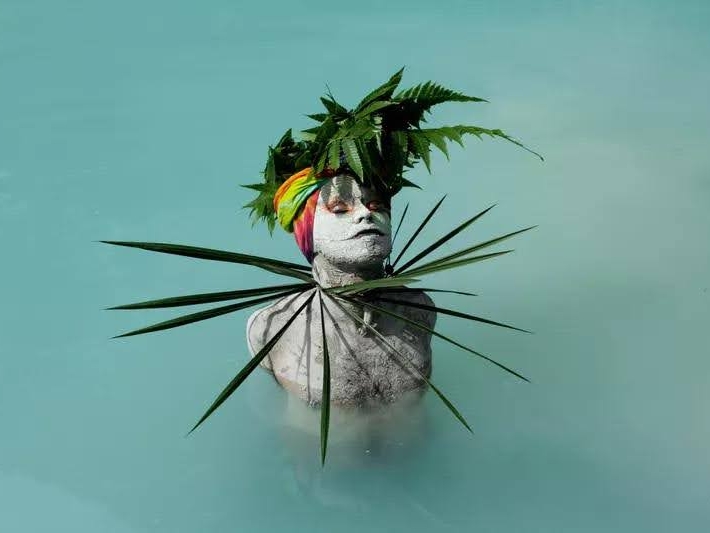 Ecology, Art, and Performance in Contemporary Latin America