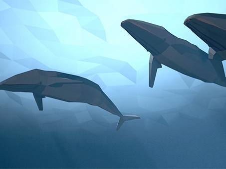 Film Still from Ocean Song. Image of 3- D dolphins.