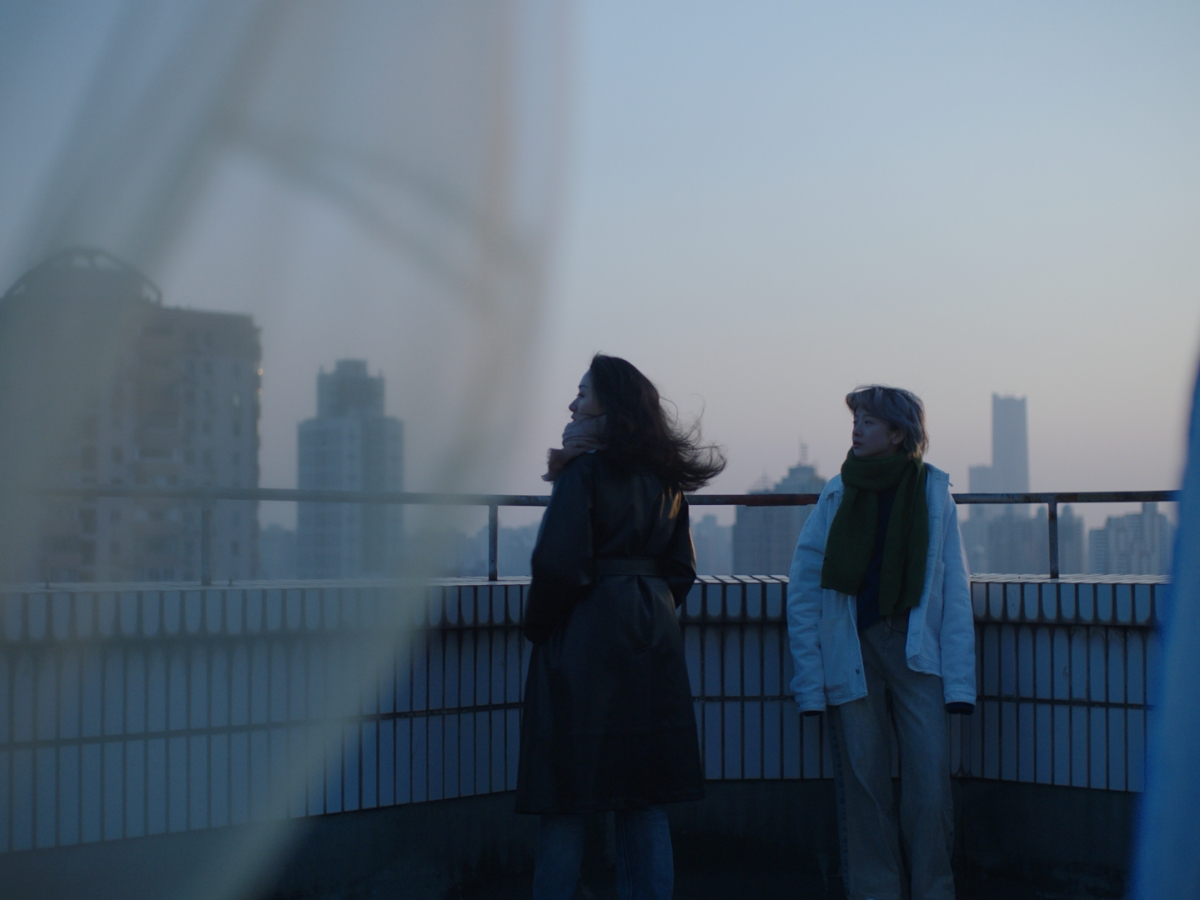 Fish in the Tank still