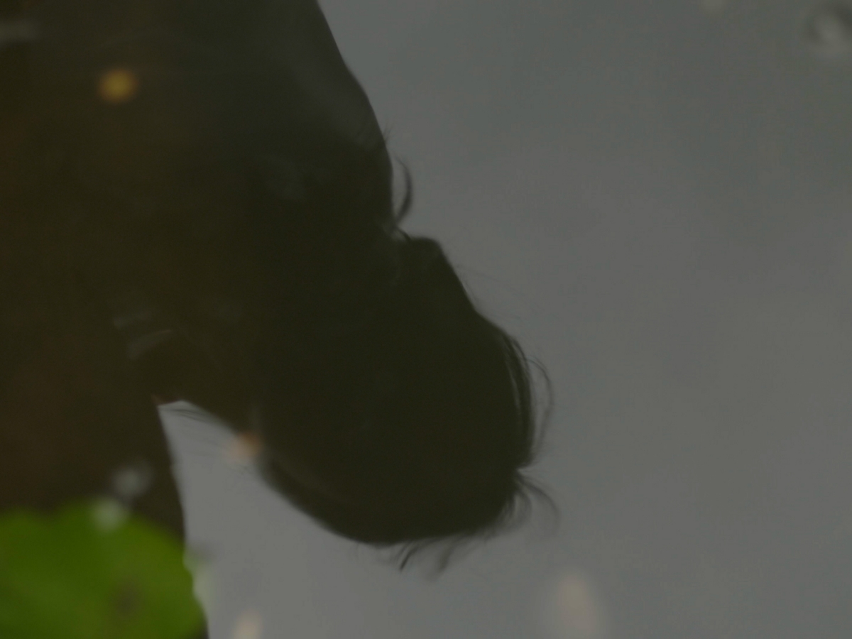 Thank You For Seeing Me still