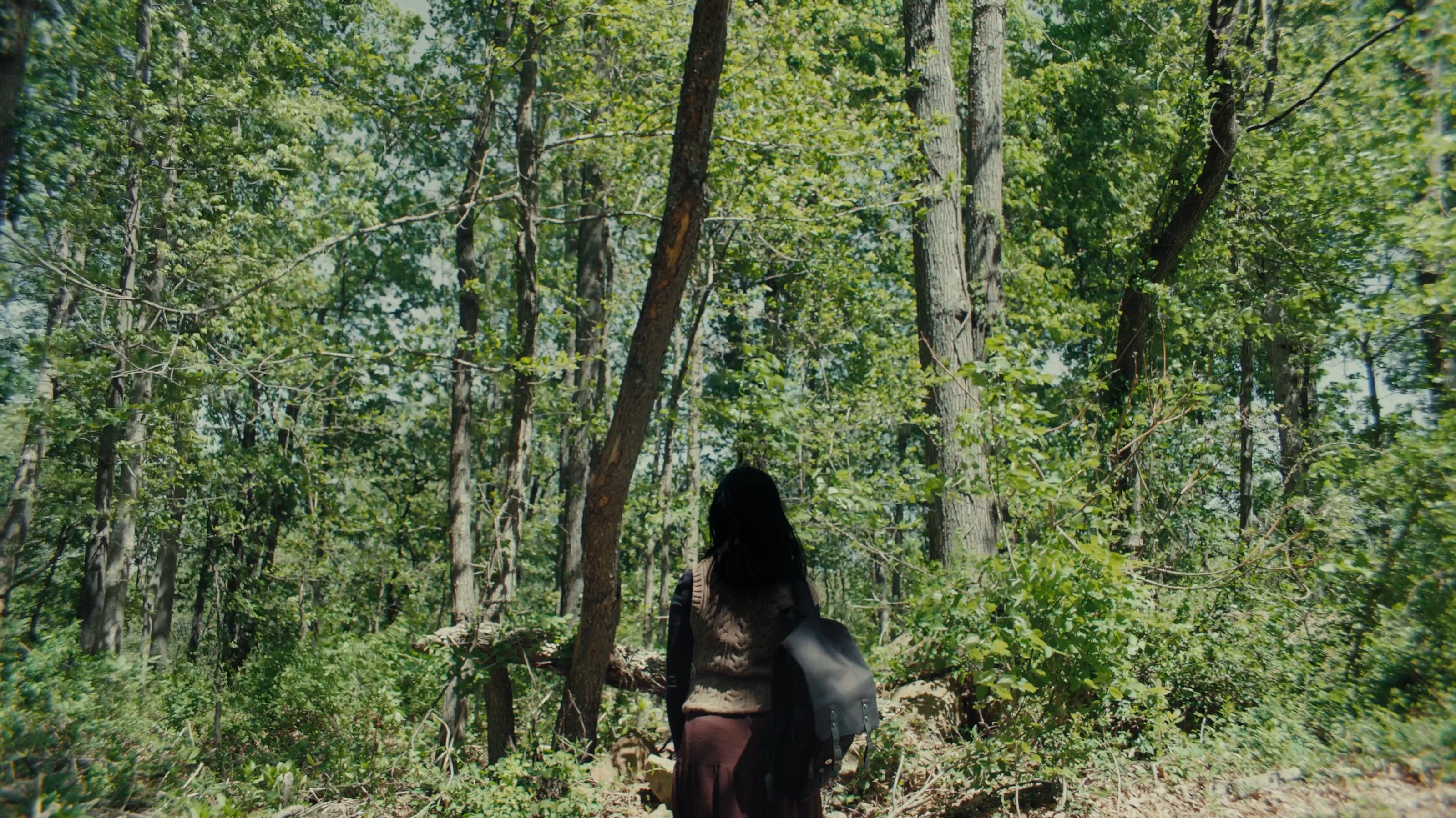 Where Deer Go to Die