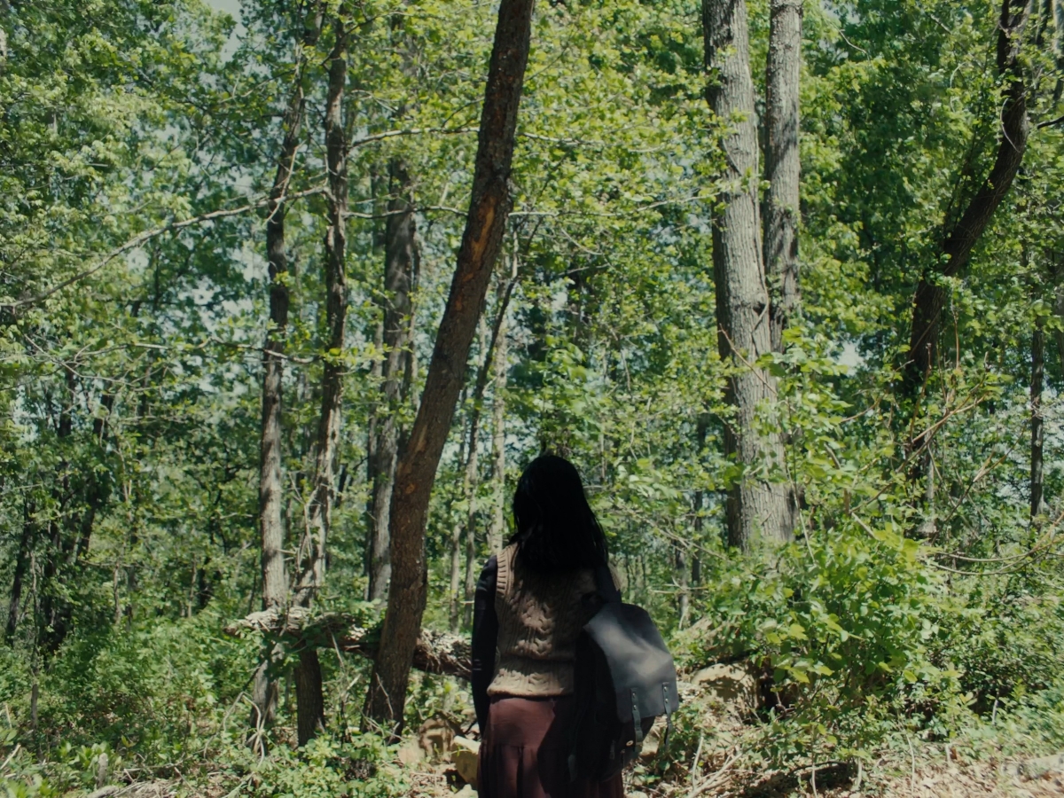 Where Deer Go to Die still