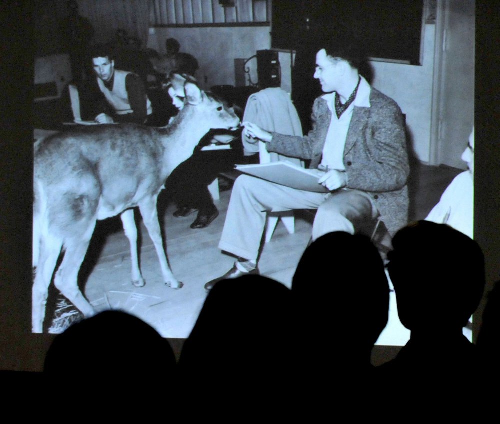 Man feeding a whitetail deer that was one of many deer brought from Maine to California by the Walt Disney Company for artists to study for the movie "Bambi," part of a presentation by film and animation historian John Canemake on Tuesday during a Maine International Film Festival event at the Colby College Art Museum. Staff photo by David Leaming