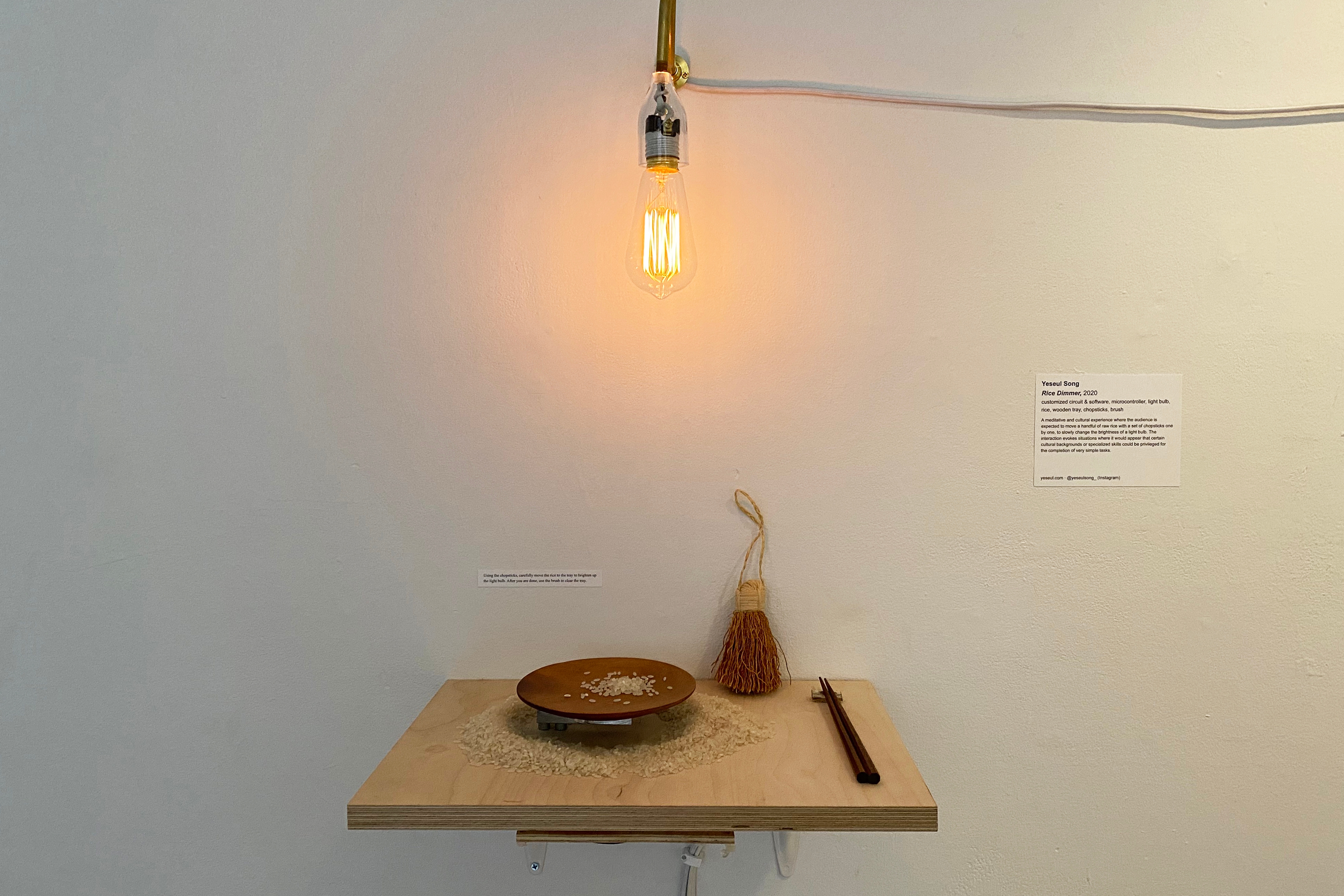 Grains of rice on and surrounding a plate sitting on a shelf underneath a light bulb