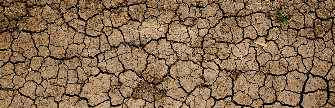 Dry cracks in the earth