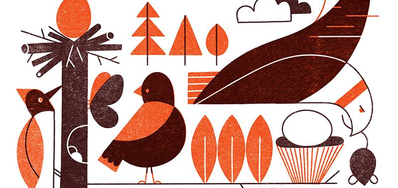 Elizabeth Hargrave poster featuring brown and orange hand drawn birds.