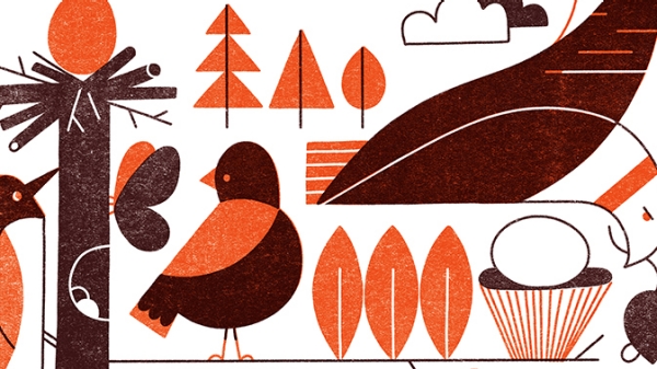 Elizabeth Hargrave poster featuring brown and orange hand drawn birds.