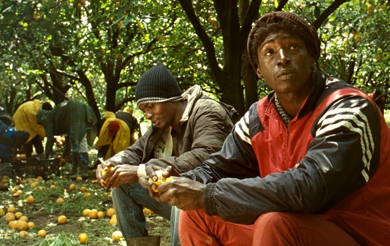 An image of to young men sitting in a orchard.