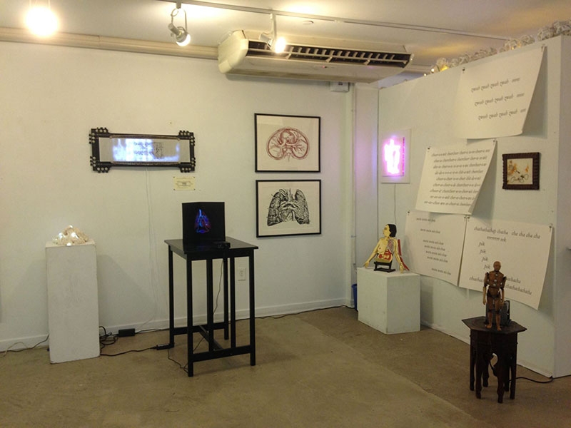 A gallery space with some anatomical work (flap book, paper cuts, animation)